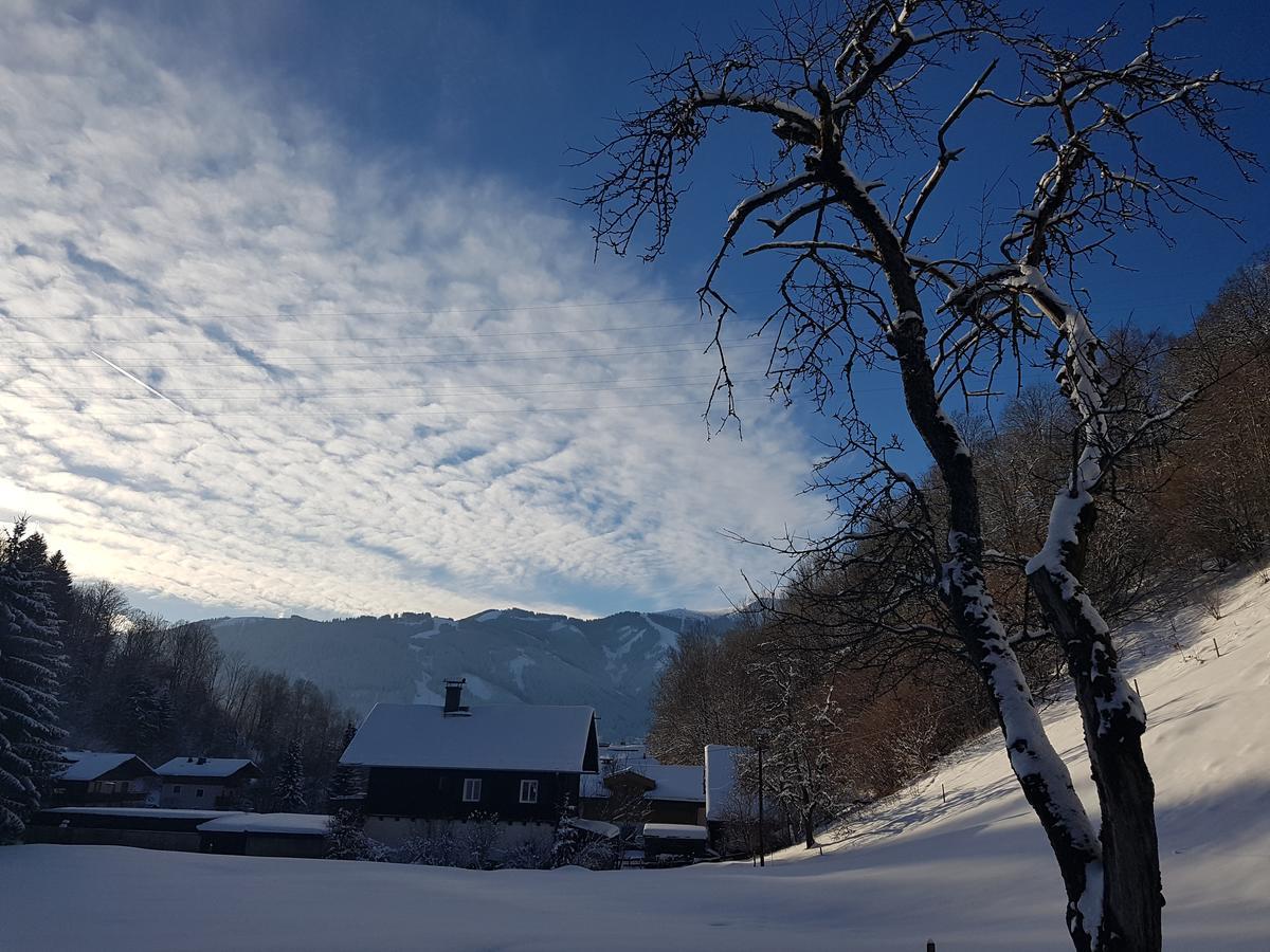 Haus Gandler Appartement Zell am See Buitenkant foto