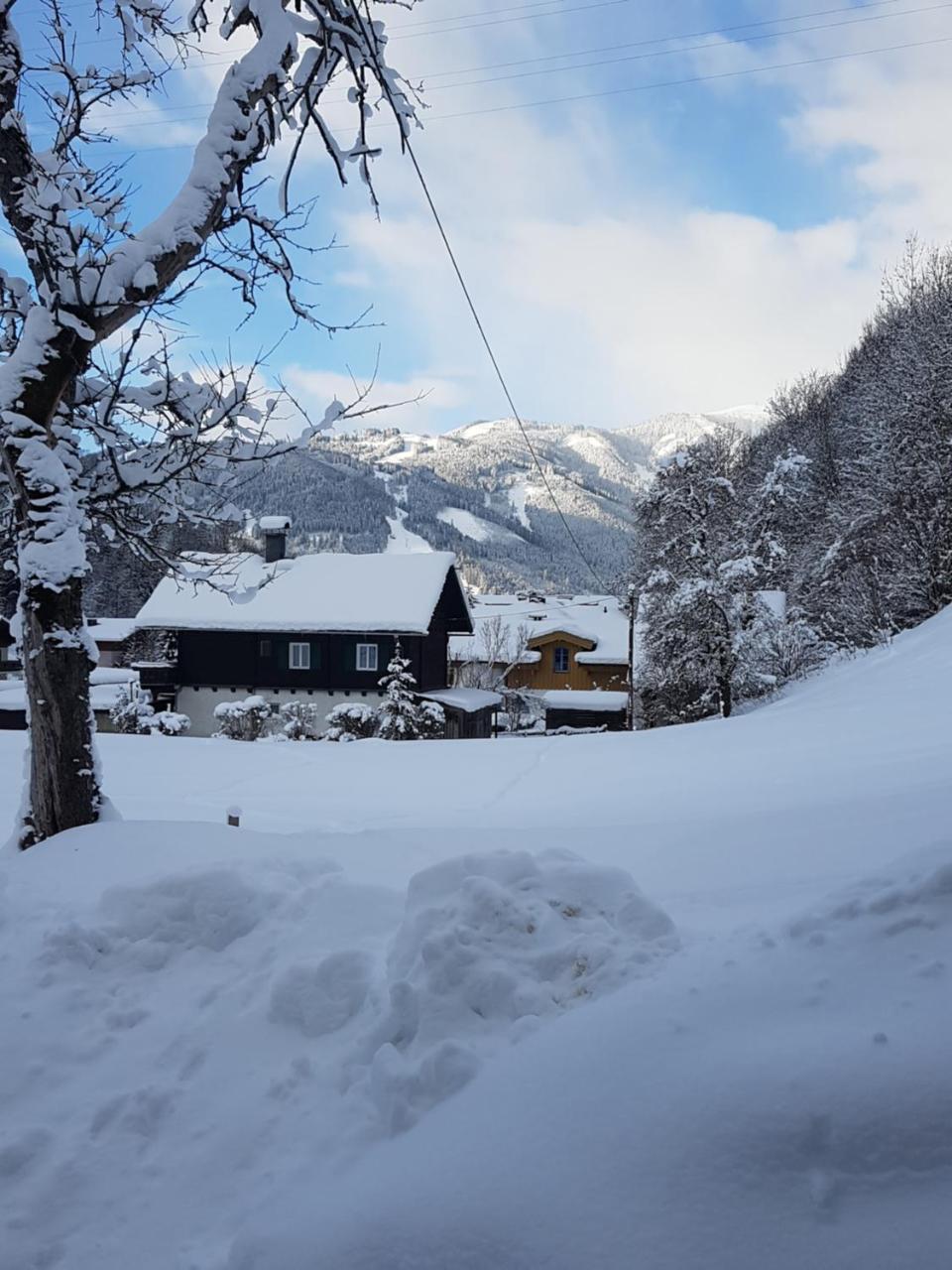 Haus Gandler Appartement Zell am See Buitenkant foto