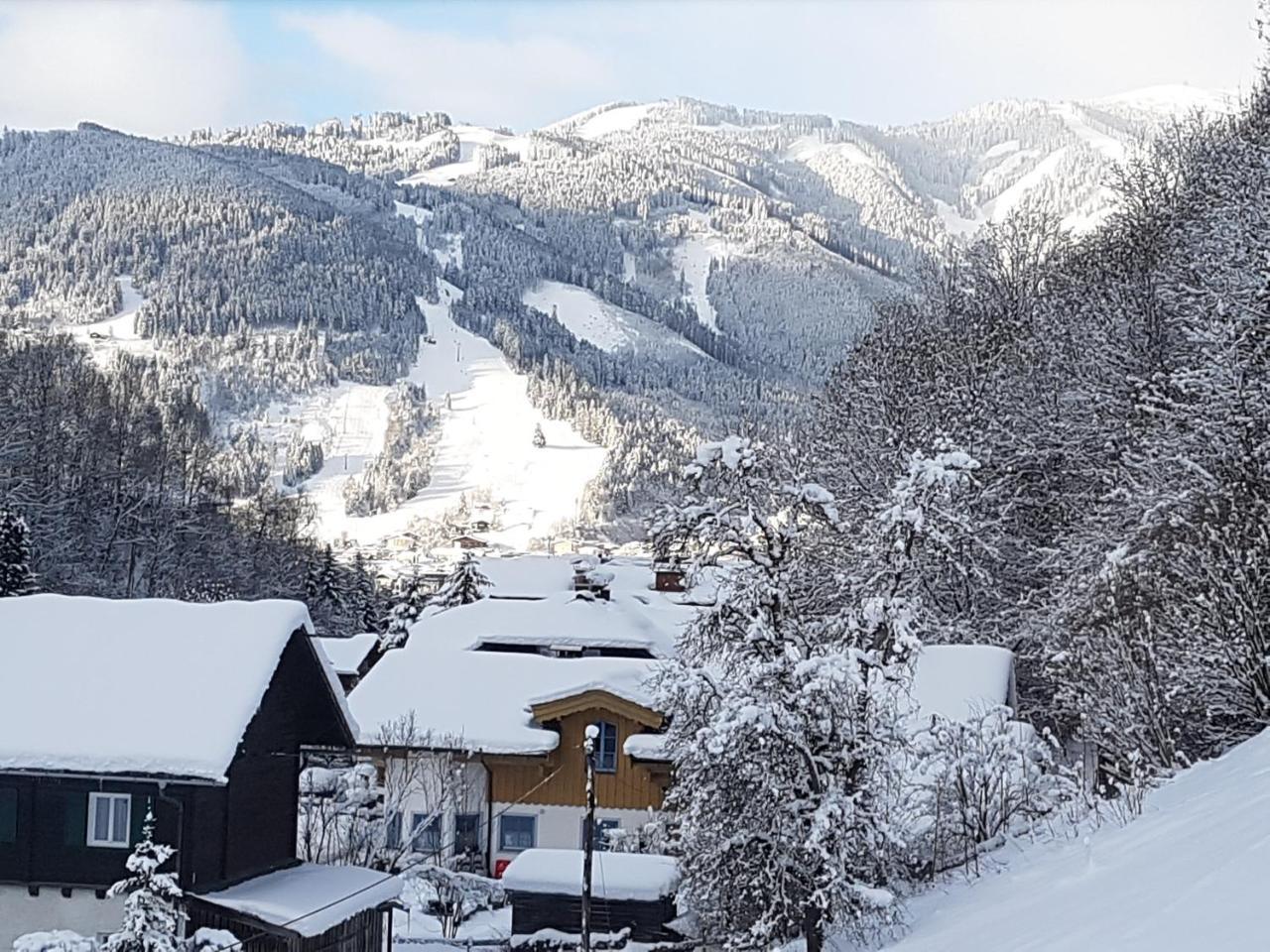 Haus Gandler Appartement Zell am See Buitenkant foto